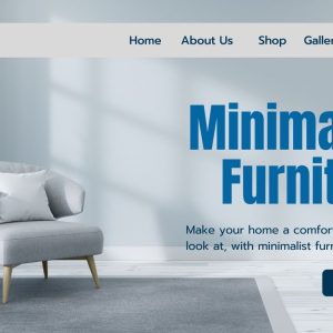 Package For Advance E-commerce Website Design @ 390 dollars